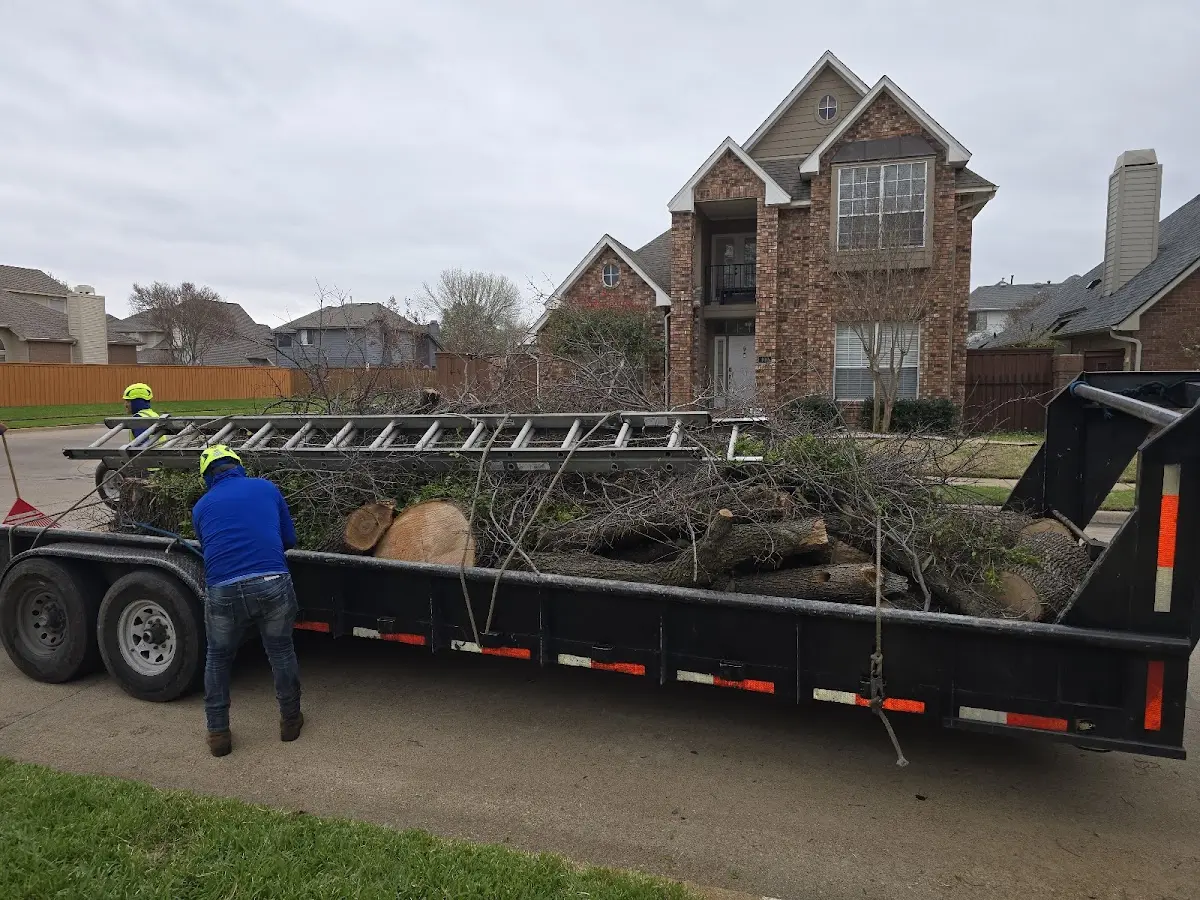 Expert Tree Fertilization with proper safety equipment in Long Creek